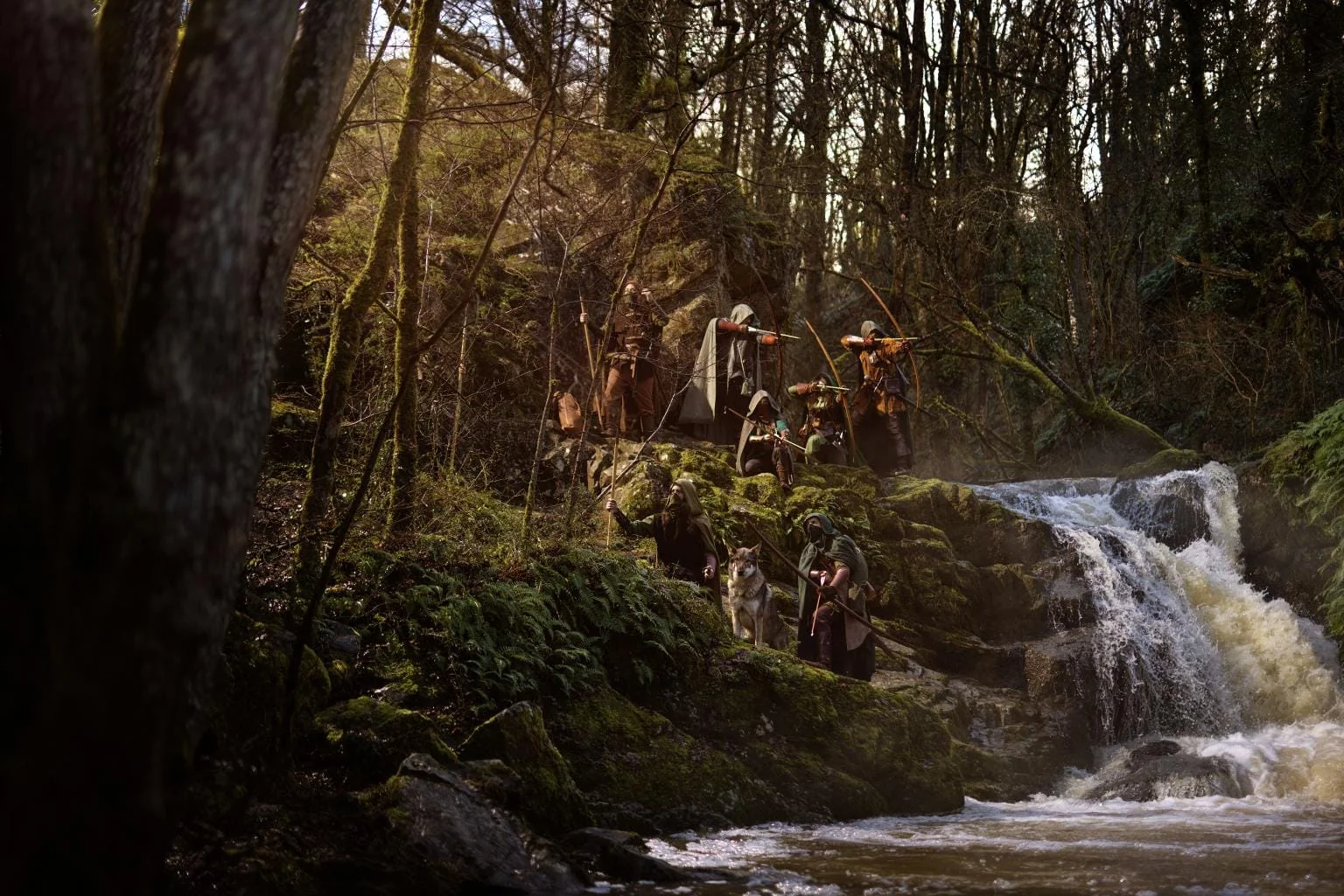 Rôdeurs dans la brume du matin
